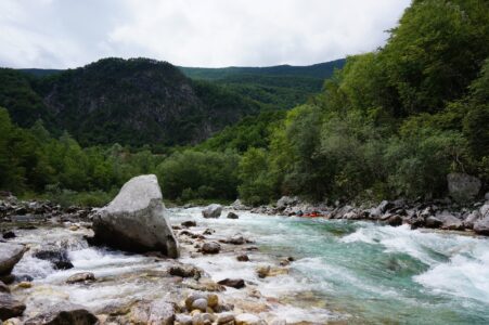 Whitewater with kayakers