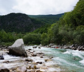Whitewater with kayakers