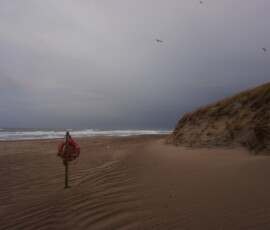 Bunkers Beach - Denmark