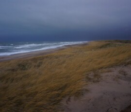 Bunkers Beach - Denmark