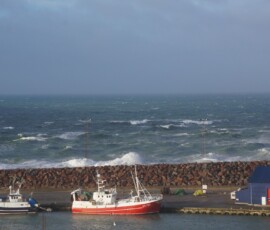 Ship in harbour